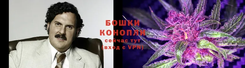 закладка  Прокопьевск  Шишки марихуана White Widow 